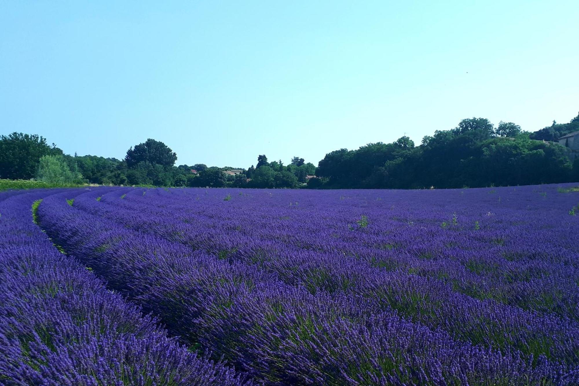 La Garde Adhemar, L'Escalier Medieval エクステリア 写真